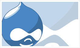 Drupal Website CMS